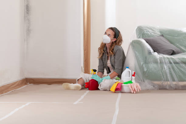 Reliable Mold Remediation contractor in Aurora, TX by WQB Mold Removal